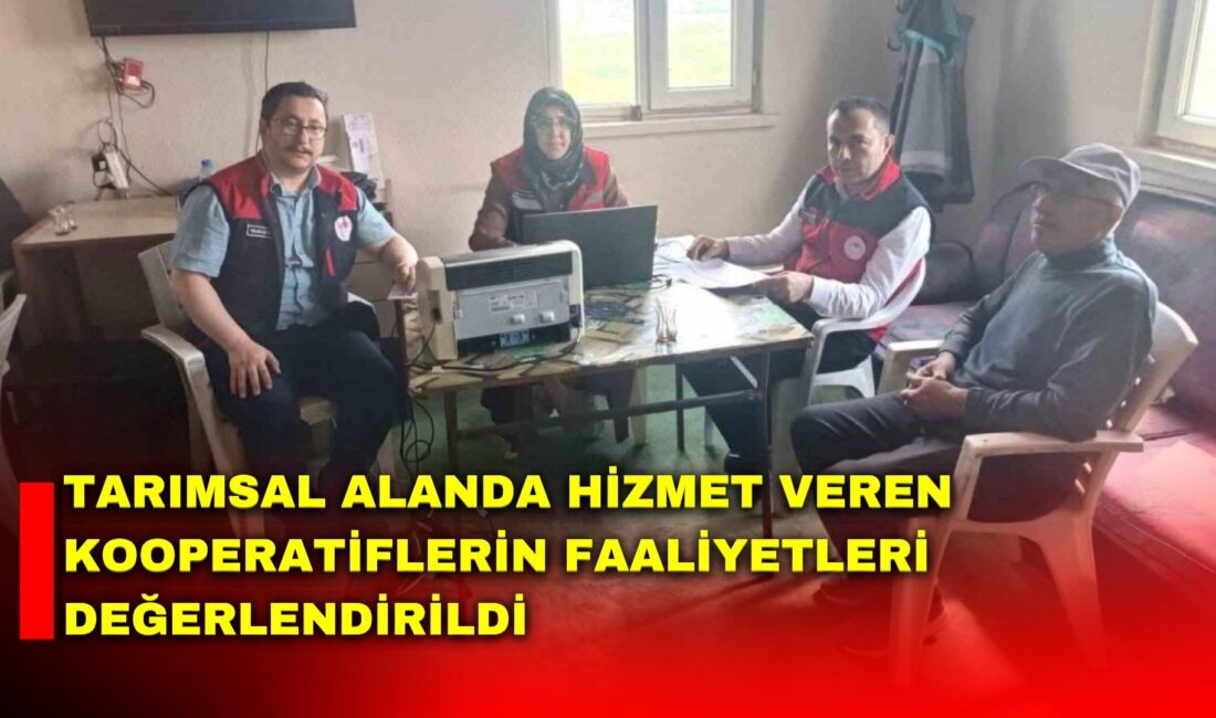 Afyonkarahisar’da tarımsal alanda hizmet veren kooperatiflerin faaliyetleri ve sürdürülebilir üretim