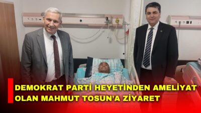 Demokrat Parti Afyonkarahisar İl Başkanı Hikmet Bülbül, Demokrat Parti Genel