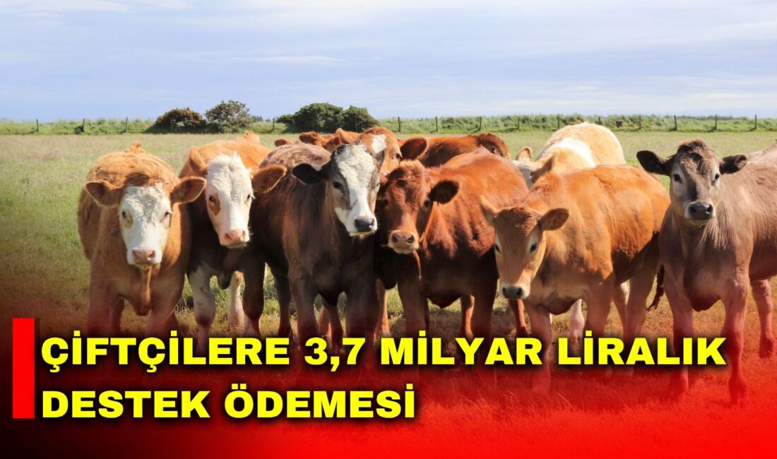 Tarım ve Orman Bakanı İbrahim Yumaklı, toplam 3 milyar 755