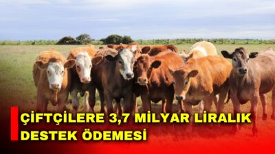 Tarım ve Orman Bakanı İbrahim Yumaklı, toplam 3 milyar 755