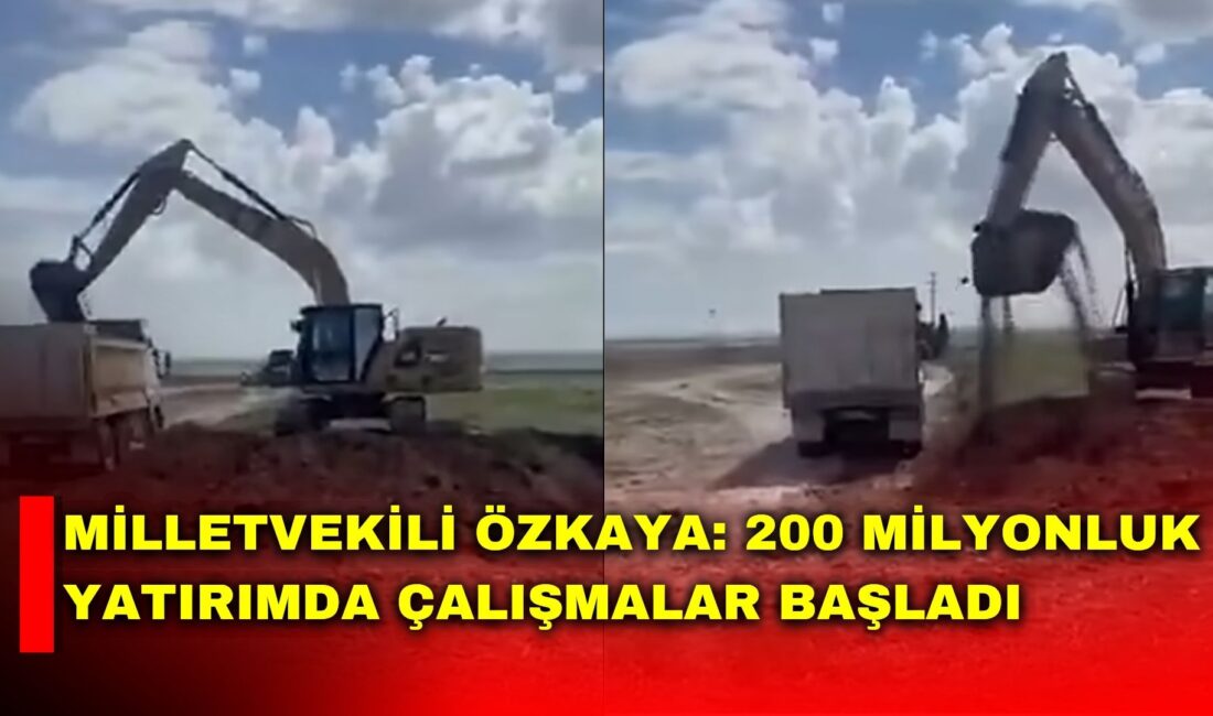 AK Parti Afyonkarahisar Milletvekili Ali Özkaya, yaklaşık 200 milyon lira