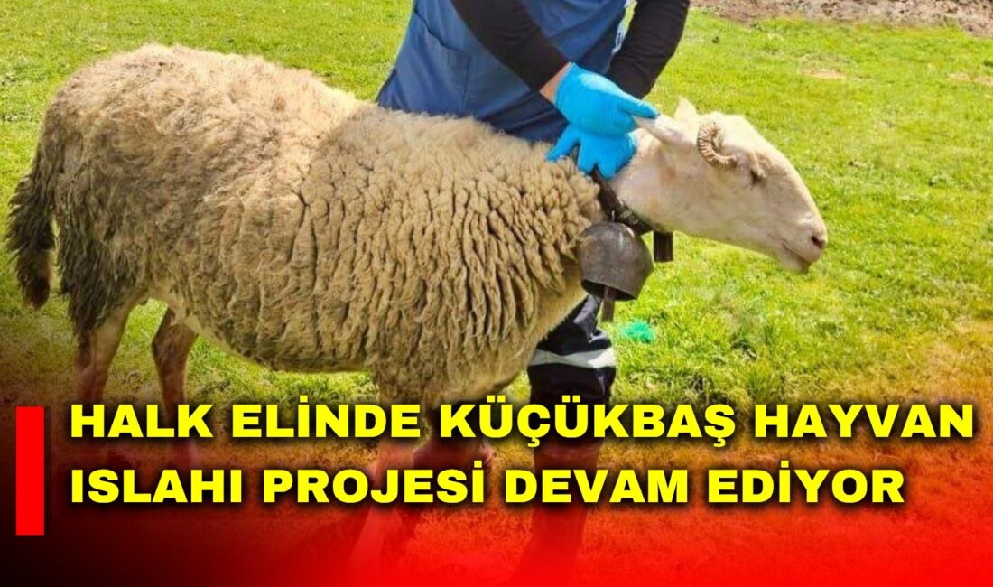 Afyonkarahisar İl Tarım ve Orman Müdürlüğü tarafından yürütülen Halk Elinde