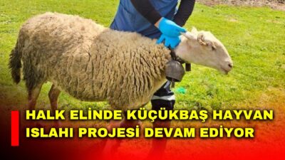 Afyonkarahisar İl Tarım ve Orman Müdürlüğü tarafından yürütülen Halk Elinde