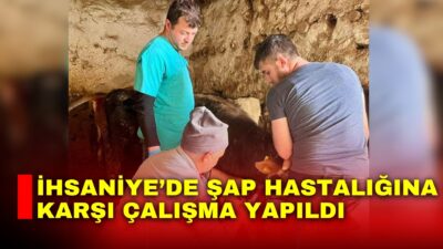 Afyonkarahisar’ın İhsaniye ilçesinde şap hastalığıyla mücadele çerçevesinde büyükbaş hayvanlardan kan