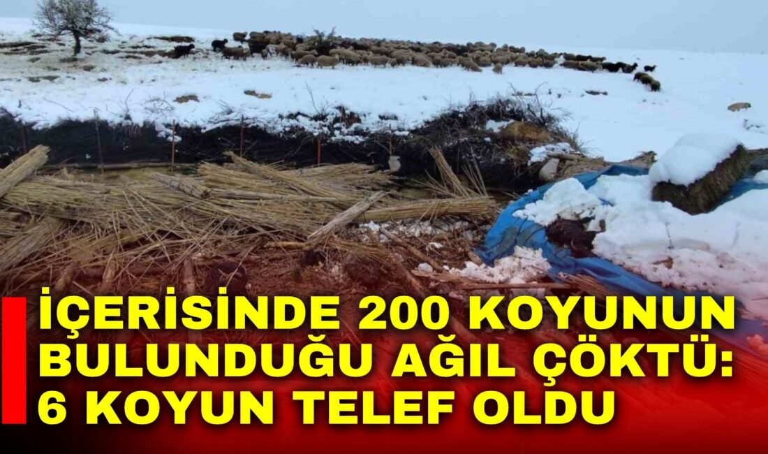 Afyonkarahisar’da yaşanan kar yağışının ardından karın ağırlığına dayanamayan ağılın çökmesi