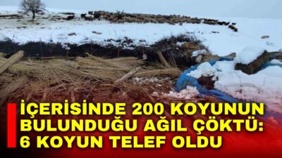 Afyonkarahisar’da yaşanan kar yağışının ardından karın ağırlığına dayanamayan ağılın çökmesi