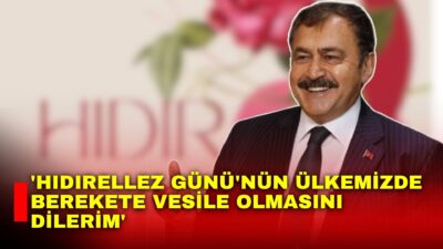 Orman ve Su İşleri eski Bakanı, Irak Özel Temsilcisi Prof.