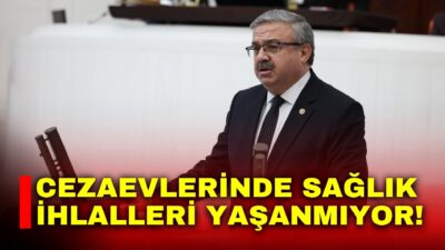 AK Parti Afyon Milletvekili Yurdunuseven, DEM Parti’nin önergesi üzerine yaptığı
