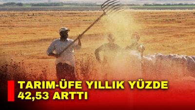 Türkiye İstatistik Kurumu (TÜİK), Nisan ayı Tarım Ürünleri Üretici Fiyat