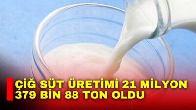 Türkiye İstatistik Kurumu (TÜİK), 2025 yılı Çiğ Süt Üretim İstatistikleri’ni