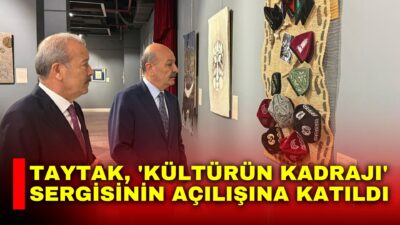 Milliyetçi Hareket Partisi (MHP) Afyonkarahisar Milletvekili Mehmet Taytak, 2026 Türk