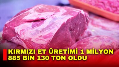 Türkiye İstatistik Kurumu (TÜİK), 2025 yılı Kırmızı Et Üretim İstatistikleri’ni