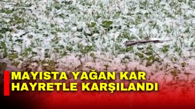 Afyonkarahisar’ın Hocalar ilçesinde mayıs ayında yağan kar görenleri hayrete düşürdü.
