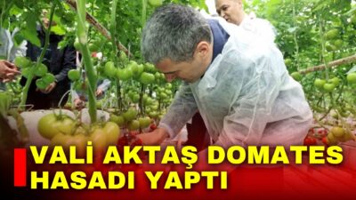 Afyonkarahisar’da domates üretimde önemli bir yere sahip Sandıklı ilçesini ziyaret