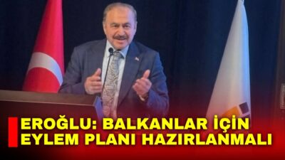 Orman ve Su İşleri eski Bakanı ve Irak Özel Temsilcisi
