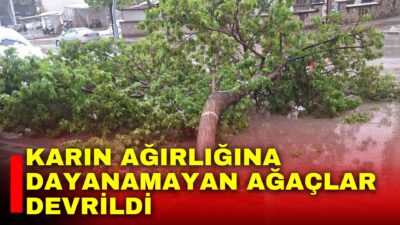 Afyonkarahisar’ın Sandıklı ilçesinde aniden bastıran kar yağışı sonrası karın ağırlığını