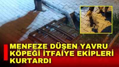 Afyonkarahisar’ın Bolvadin ilçesinde yağmur menfezine düşen yavru köpek itfaiye ekiplerinin