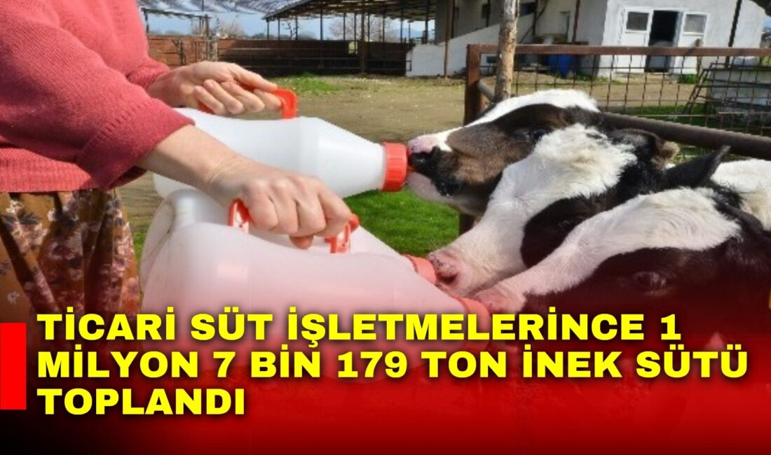 Ticari süt işletmelerince 1 milyon 7 bin 179 ton inek sütü toplandı Türkiye İstatistik Kurumu (TÜİK), Mart ayı Süt ve Süt Ürünleri
