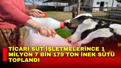 Türkiye İstatistik Kurumu (TÜİK), Mart ayı Süt ve Süt Ürünleri