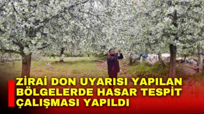 Afyonkarahisar’da zirai don uyarısının yapıldığı bölgelerde hasar tespit çalışması yapıldı.
