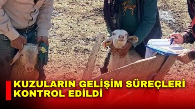 Afyonkarahisar Tarım ve Orman Müdürlüğü tarafından yürütülen halk elinde küçükbaş
