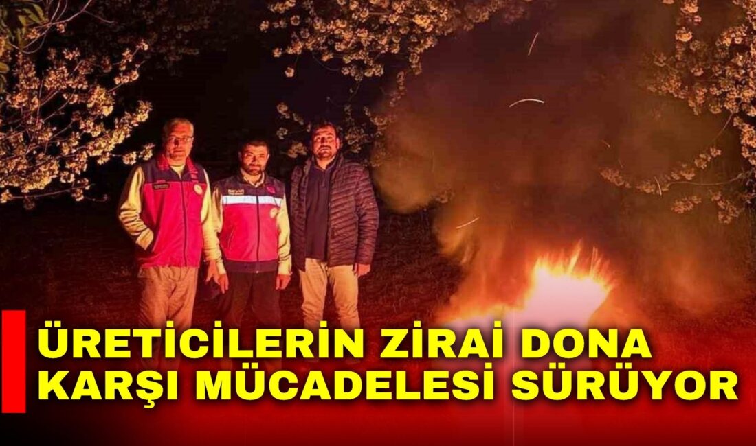 Afyonkarahisar’da yaşanan kar yağışı sonrası hava sıcaklıklarının düşmesi ile ortaya