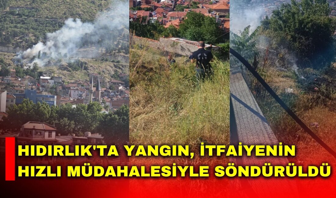 Afyonkarahisar'da Hıdırlık Mesire Alanı çevresinde çıkan ot yangını kısa süreli