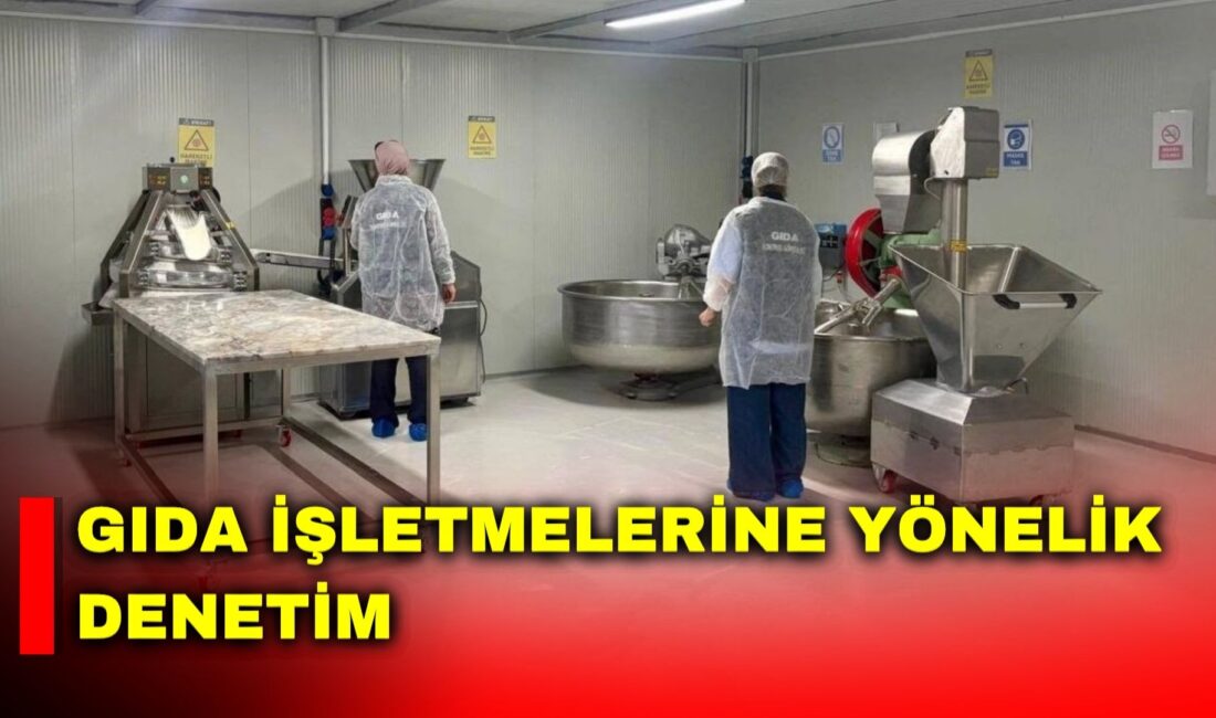 Afyonkarahisar’da gıda üretimi, satış ve toplu tüketim işletmesine yönelik denetim