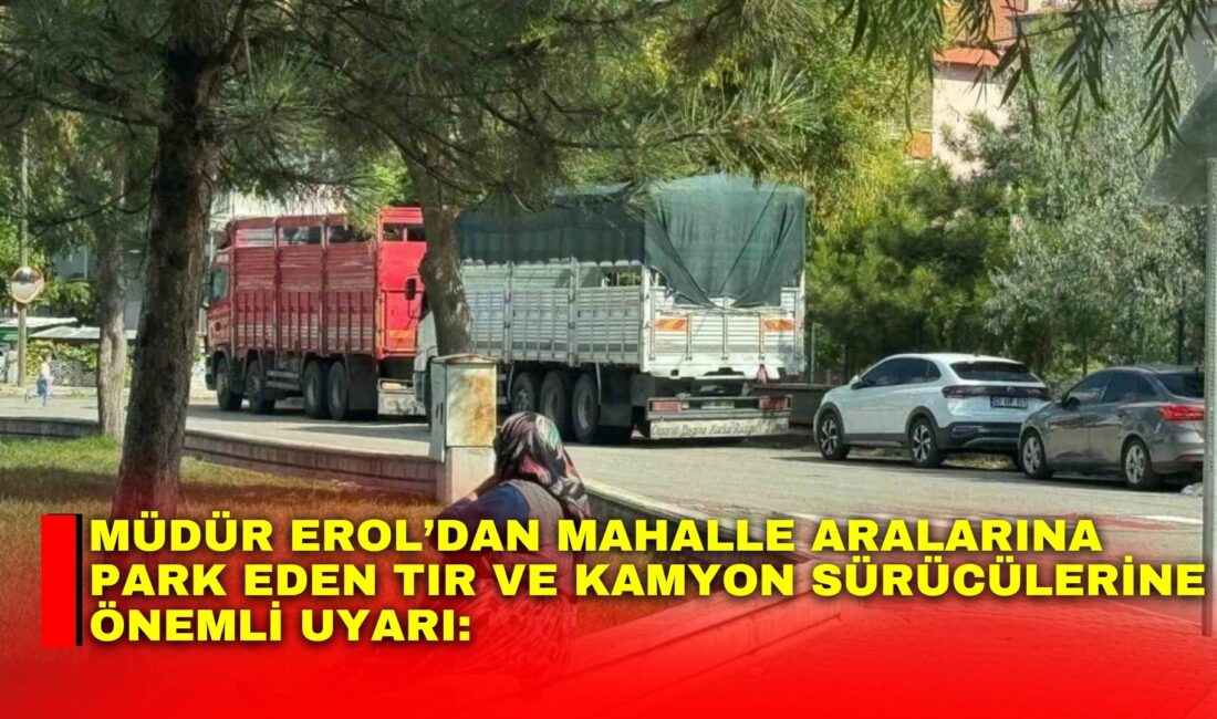 Afyonkarahisar İl Emniyet Müdürü Ahmet Birtan Erol, mahalle araları, yol