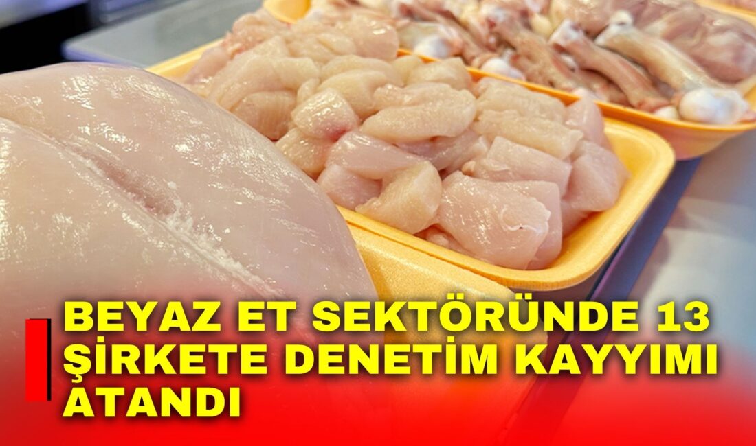 Beyaz et sektöründe 13 şirkete denetim kayyımı atandı Beyaz et sektöründe piyasa işleyişini bozarak haksız fiyat artışlarına ve