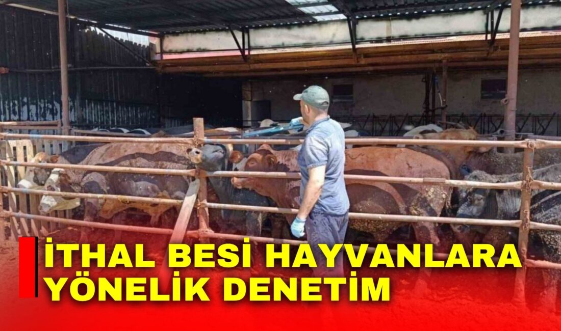 Afyonkarahisar’ın Şuhut ilçesinde hayvancılık faaliyetlerinin sağlıklı ve güvenli şekilde yürütülmesi