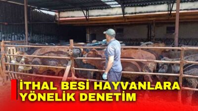 Afyonkarahisar’ın Şuhut ilçesinde hayvancılık faaliyetlerinin sağlıklı ve güvenli şekilde yürütülmesi