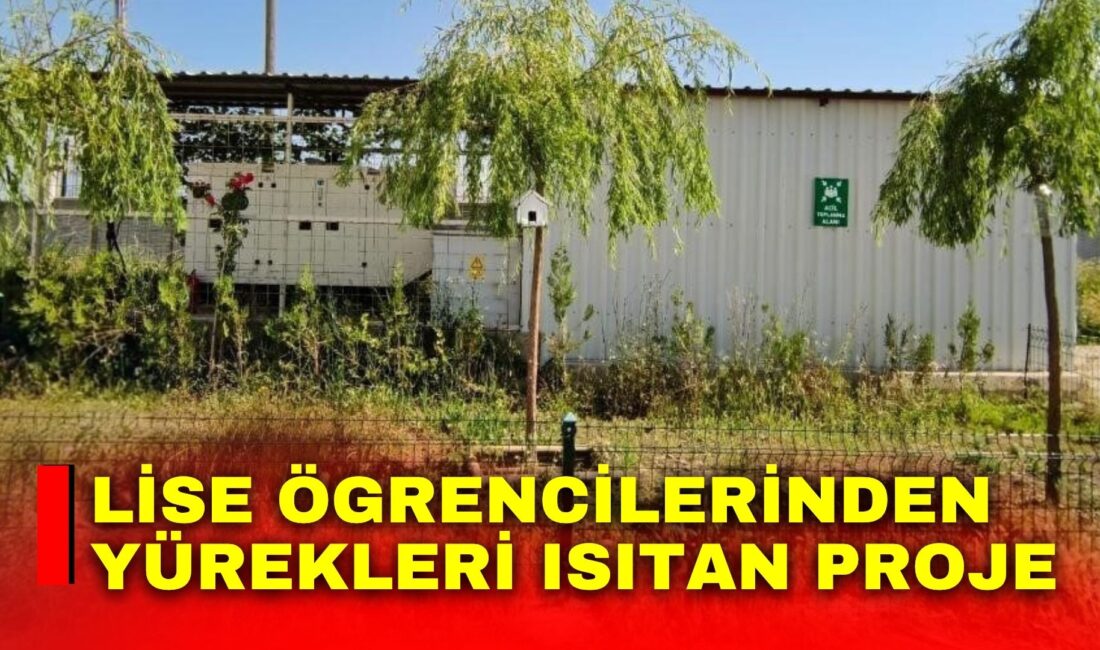 Afyonkarahisar Sandıklı Anadolu İmam Hatip Lisesi Fen ve Sosyal Bilimler