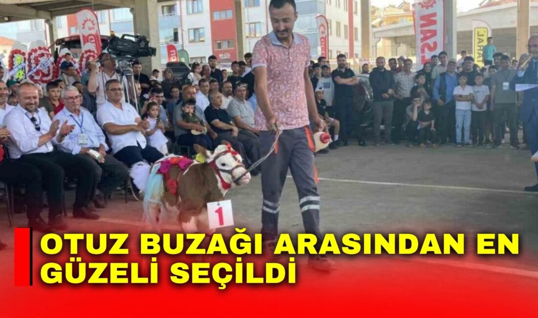 Afyonkarahisar’ın Sultandağı ilçesinde bu yıl 5’ncisi gerçekleştirilen ’Ulusal Tarım, Hayvancılık
