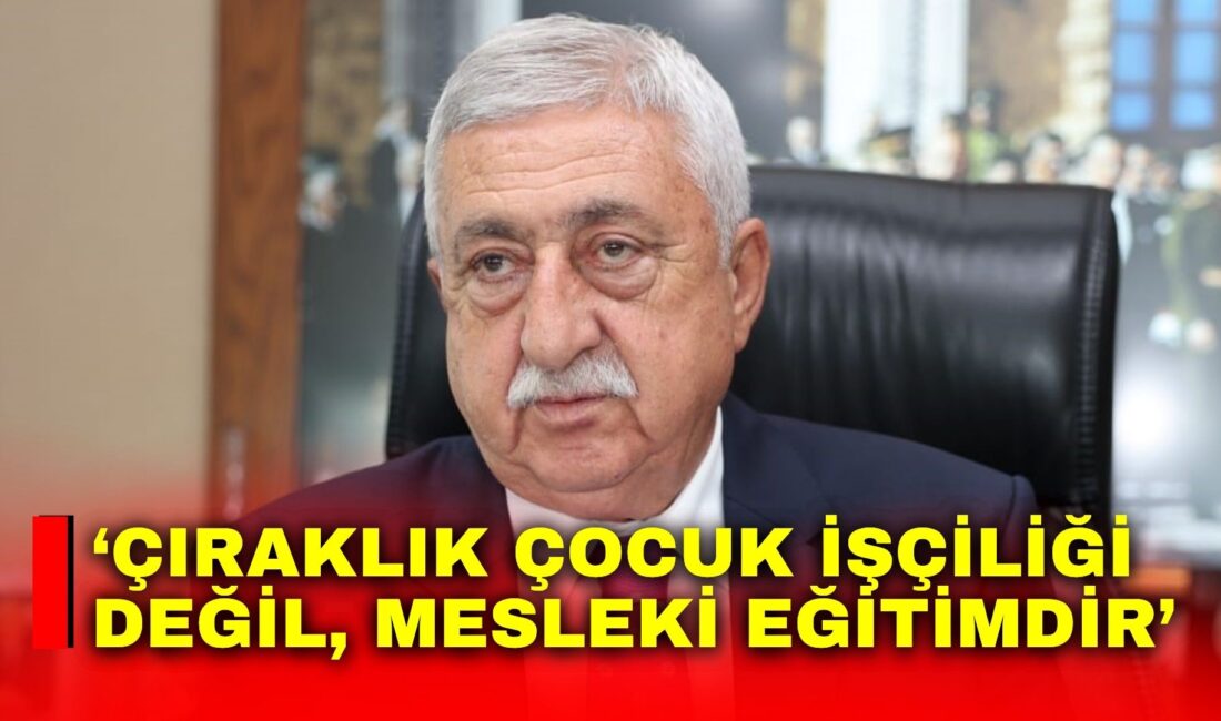 ‘Çıraklık çocuk işçiliği değil, mesleki eğitimdir’ Okulların kapanmasıyla birlikte başlayan yaz tatilinin verimli değerlendirilmesi gerektiğini söyleyen
