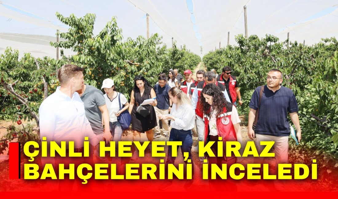 Türk kirazının ihracat yolculuğunda kritik kararı verecek Çin heyeti Türkiye’den