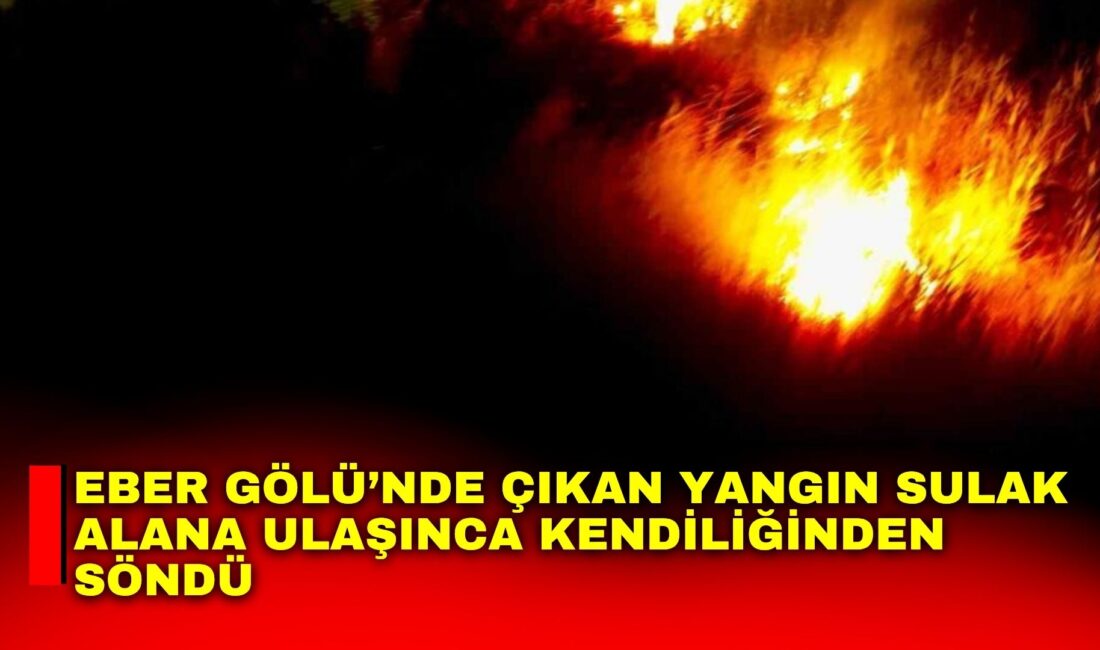 Afyonkarahisar’ın Bolvadin ilçesi sınırlarında bulunan Eber Gölü’ndeki sazlık alanda sabaha