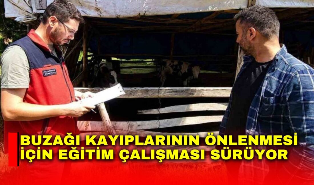 Afyonkarahisar’da besicilere yönelik buzağı kayıplarının önlenmesi amacıyla eğitim çalışması yapıldı.
