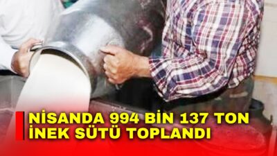 Türkiye İstatistik Kurumu (TÜİK), Nisan ayı Süt ve Süt Ürünleri