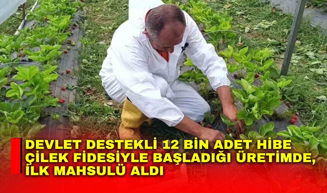Bilecik’te destek destekli bir projeye sonrası aldığı 12 bin adet