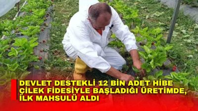 Bilecik’te destek destekli bir projeye sonrası aldığı 12 bin adet