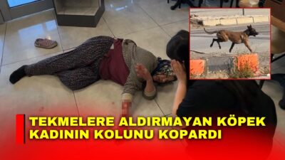 Afyonkarahisar’da kızıyla birlikte dinlenme tesisine gelen kadına saldıran köpek, kadının