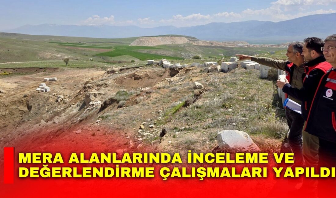 Afyonkarahisar İl Tarım ve Orman Müdürlüğü tarafından mera alanlarının korunması,