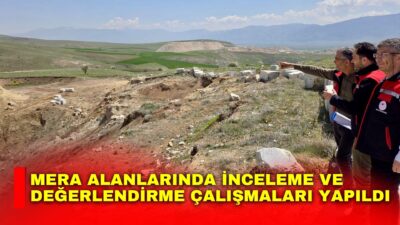 Afyonkarahisar İl Tarım ve Orman Müdürlüğü tarafından mera alanlarının korunması,