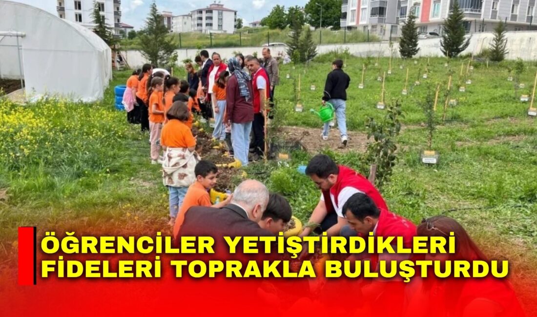 Samsun’un Kavak ilçesinde yürütülen proje kapsamında öğrenciler tarafından okul serasında