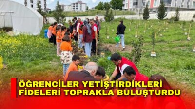 Samsun’un Kavak ilçesinde yürütülen proje kapsamında öğrenciler tarafından okul serasında