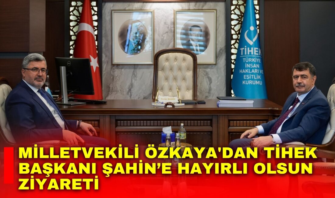 AK Parti Afyonkarahisar Milletvekili Ali Özkaya, Türkiye İnsan Hakları ve