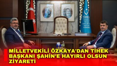 AK Parti Afyonkarahisar Milletvekili Ali Özkaya, Türkiye İnsan Hakları ve