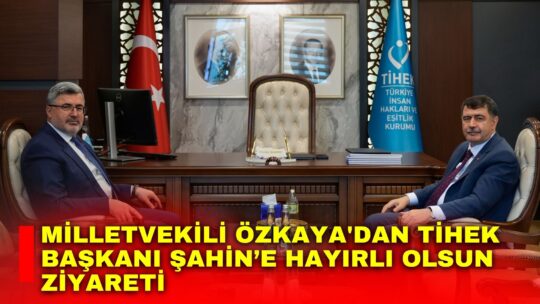 AK Parti Afyonkarahisar Milletvekili Ali Özkaya, Türkiye İnsan Hakları ve