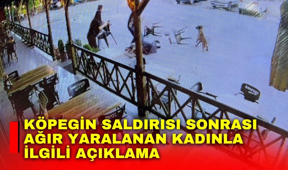 Afyonkarahisar’da köpek saldırısı sonrası ağır yaralanan kadınla ilgili valilikten yapılan